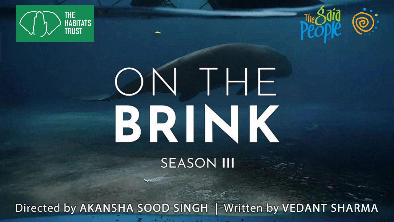 Screenwriter Project 1 - Ladakh representative image